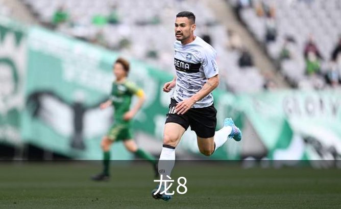 关于龙8